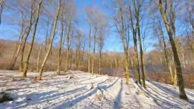 FPV görüntüsü, karlı bir ormanda ağaçlar arasında alçaktan uçan insansız hava aracı gökyüzü ve güneş ışığı manzaralı.