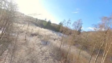 FPV İHA 'sı ağaçların üzerinde daireler çizerek hareket ederken karlı bir ormanda gün boyunca alçaktan ve yukarıdan uçuyor.