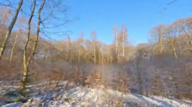 FPV insansız hava aracı alçaktan uçuyor ve karlı bir ormanın üzerinde güneş ışığını mükemmel bir şekilde görüyor.