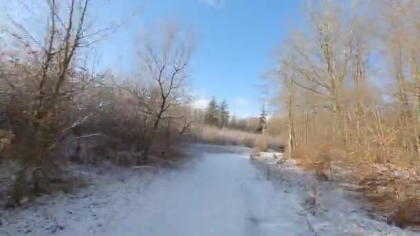 Fpv Mouvement Tir Drone Sur Une Forêt Enneigée Élevant Sur — Video