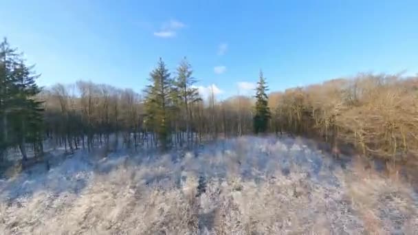 Drone Fpv Voando Alto Acima Das Árvores Fazendo Truques Com — Vídeo de Stock