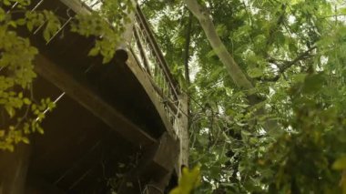 Botanik bahçesindeki tropik ağaçlarla çevrelenmiş korkulukları ve ahşap izleme platformunun alt kısmını gösteren bir video.