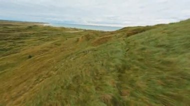 Denize yakın bir tarlanın çimenli arazisinde hızla uçan bir dron.
