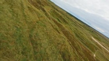 İnsansız hava aracı gündüz vakti denizin kenarındaki çimenli bir arazide uçuyor.