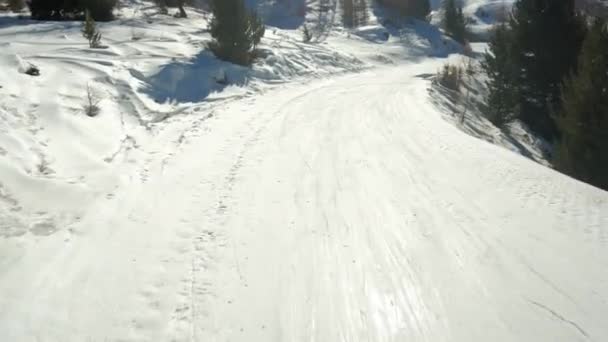 Perspectiva Pov Esquiador Deslizándose Cerca Del Borde Una Pista Esquí — Vídeos de Stock