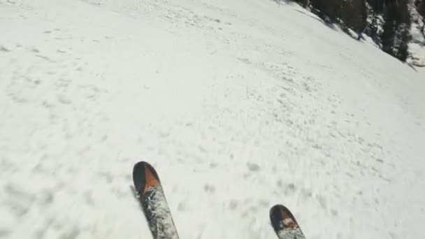 Pov Disparo Esquiador Que Conduce Sus Esquís Para Ralentizar Mientras — Vídeos de Stock