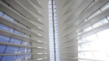 Gündüz vakti Dünya Ticaret Merkezi istasyonunda Oculus 'un içini gösteren eğik bir çekim.