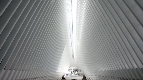 昼間に世界貿易センター駅のオキュラスの内部を示す上向きに動く傾きのショット — ストック動画