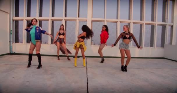 Women Dancing Crew Girl Group Sexy — Wideo stockowe