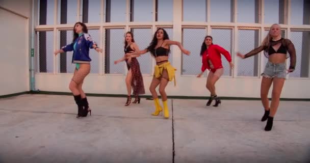 Sexy Women Dancing Crew Girl Group — Stock video