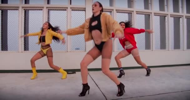 Kvinnor Dans Besättning Tjejband Hiphop — Stockvideo