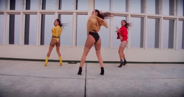 女性ダンスセクシーなグループRnb — ストック動画