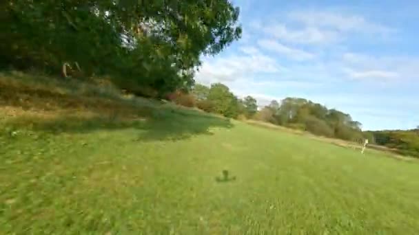 Drone Summer Marienlyst Park Trees Grass — Stock video