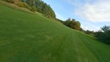 Grass, Drone, Summer, Marienlyst Park, Tree