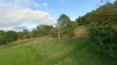 Nature, Drone Tree, Marienlyst Park, Landscape