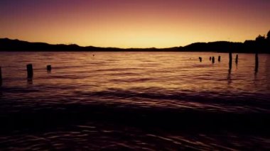 A video of the lake in Bariloche, Argentina showing the silhouette of the mountain and trees from afar, and logs floating vertically on the calm waters painted by the orange hue during sunrise