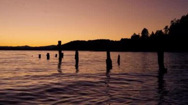 A video of the calm waters of the lake in Bariloche, Argentina showing the silhouette of the mountain and trees from afar, logs floating vertically in place on the center of the frame