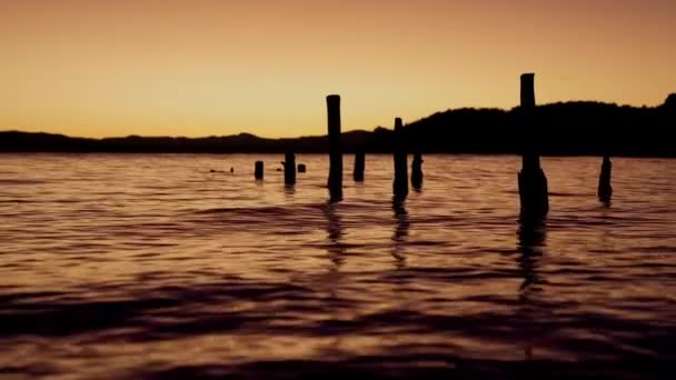 遠くから山のシルエットを示すアルゼンチンのバリローチェの湖のビデオ そして日の出の間にオレンジの色合いによって描かれた穏やかな海に垂直に浮かぶ丸太 — ストック動画