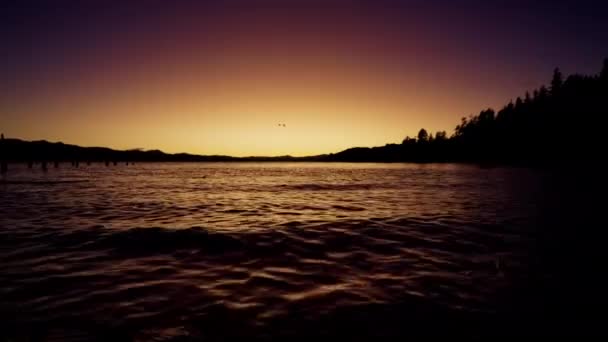 遠くから山や木のシルエットが映し出されたアルゼンチンのバリローチェの湖や 日の出の間にオレンジ色の色合いで描かれた穏やかな海を飛ぶ鳥たちのビデオ — ストック動画