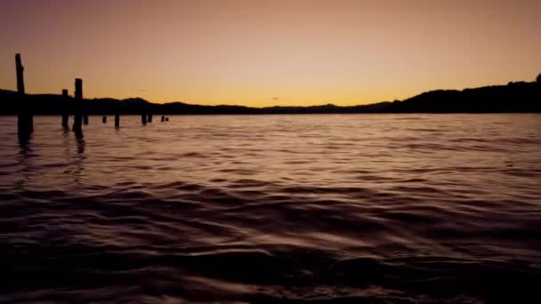 Video Lake Bariloche Argentina Showing Silhouette Mountain Afar Logs Floating — Vídeo de Stock