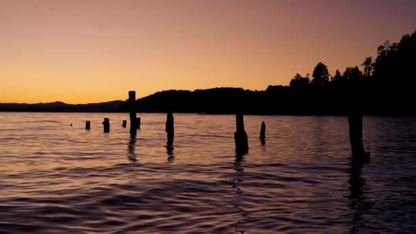 Відео Спокійних Вод Озера Барілоче Аргентина Показує Силует Гори Дерев — стокове відео