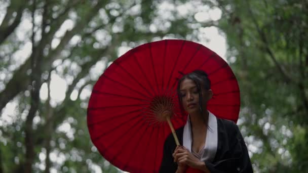 Medium Shot Woman Wearing Kimono Holding Red Wagasa Exploring Forest — Vídeos de Stock