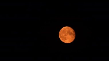 Close-up shot of a red full moon against the dark night sky