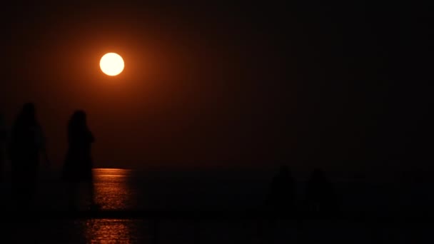 Silhoutte People Walking Sitting Seaside Jetty Full Moon — Stok video