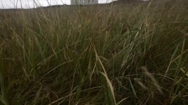 Tilt shot moving upwards showing the grass swaying in the wind and a man standing outside the Strandarkirkja church during daytime in Iceland