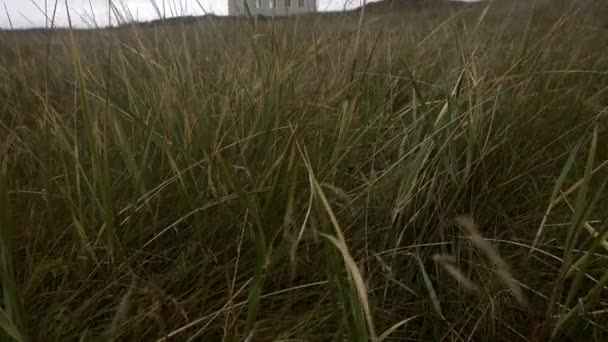 風に揺れる草とアイスランドの昼間のStrandarkirkja教会の外に立つ男を示す上に移動するティルトショット — ストック動画