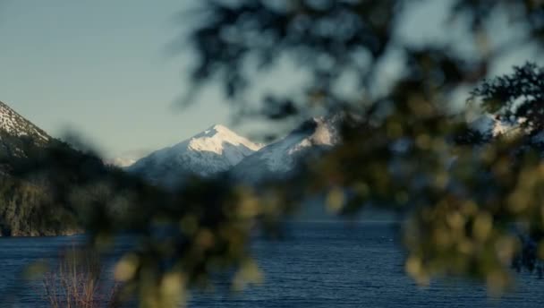 Wide Shot Panning Right Left Tree Branch Covering Snowy Mountains — Stok video