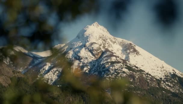 Wide Shot Panning Left Right Tree Covering Framing Snowy Mountains — Video Stock