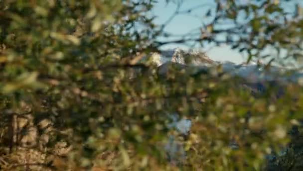 Panning Shot Left Right Revealing Beautiful Landscape Nahuel Huapi Park — Vídeo de Stock