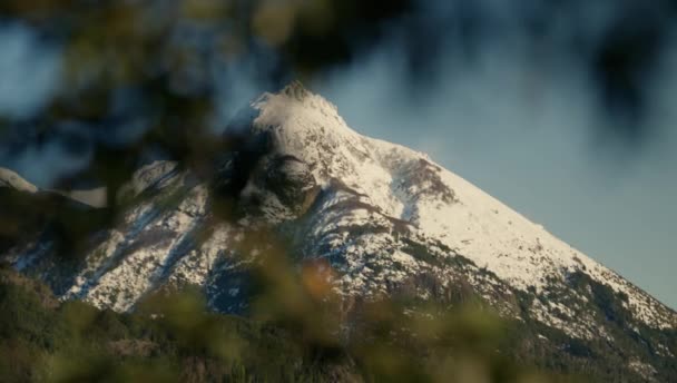 Wide Shot Tree Covering Framing Snowy Mountains Afar Located Bariloche — Vídeos de Stock