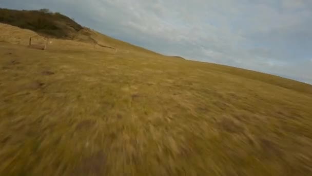Hanklit Cliffs Mors Sea — 비디오