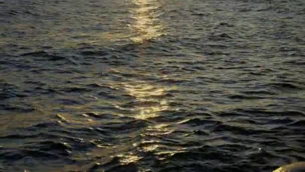 Close Shot Waves Flowing Sunrise Reflecting Lake Bariloche Argentina — Video Stock