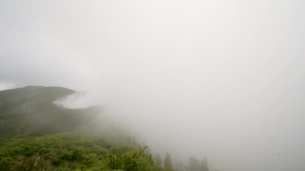 Туман Природа Роке Агандо Канарські Острови Рок — стокове відео