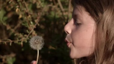 A close-up side view shot of a girl blowing on a dandelion during daytime