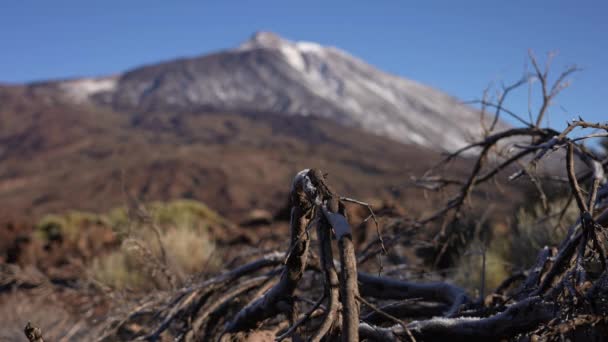 Dağ Manzara Kuru Tenerife Kanarya Adaları — Stok video