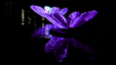 Glowing butterfly sculptures with shifting colors float on the water during nighttime