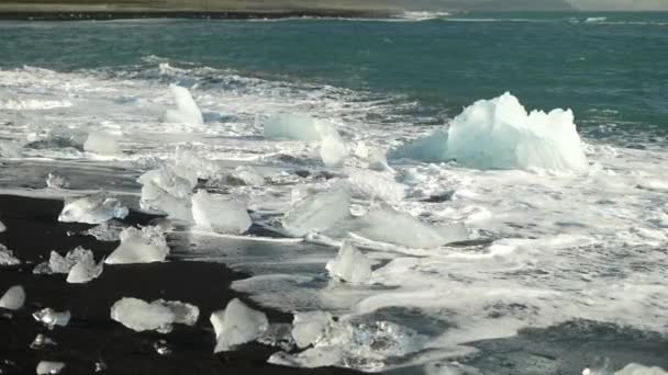 Iceberg Fragments Black Sands Diamond Beach — стоковое видео