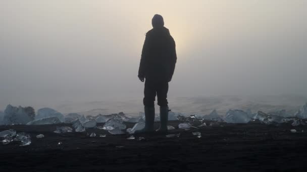 Slow Motion Back View Shot Man Surrounded Ice Formations Shore — Stockvideo