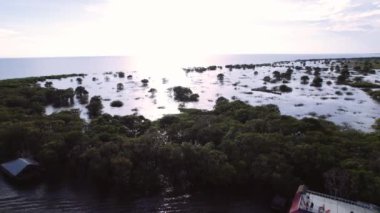 Drone, Cambodia, River, Forest, Horizon