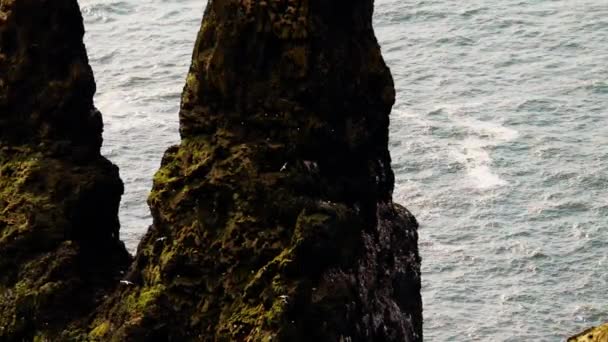 Wide Shot Zooming Reynisdrangar Sea Stacks Birds Flying Iceland Daytime — Αρχείο Βίντεο