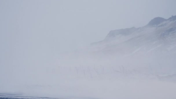 Tormenta Nieve Blizzard Montañas Vik Islandia — Vídeos de Stock