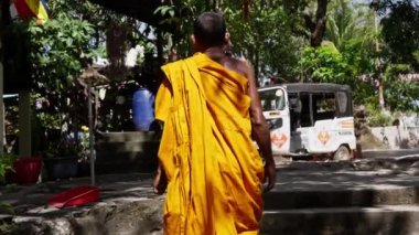 Budist keşiş, insan, cübbe, yürüyüş, Tayland