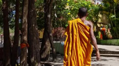 Budist keşiş, insan, cübbe, yürüyüş, Tayland