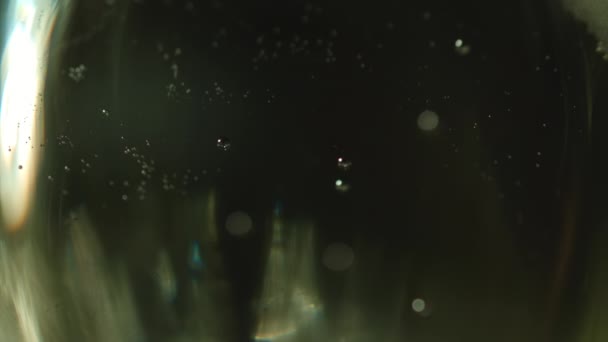 Extrémní Detailní Záběr Několika Bublin Šampaňského Pomalu Stoupá Praská Sklenici — Stock video