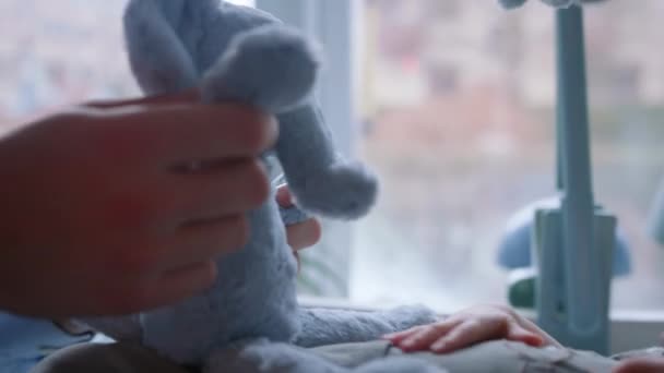 Ελέφαντας Μωρό Βρεφοκομείο Παίζοντας Αγόρι — Αρχείο Βίντεο