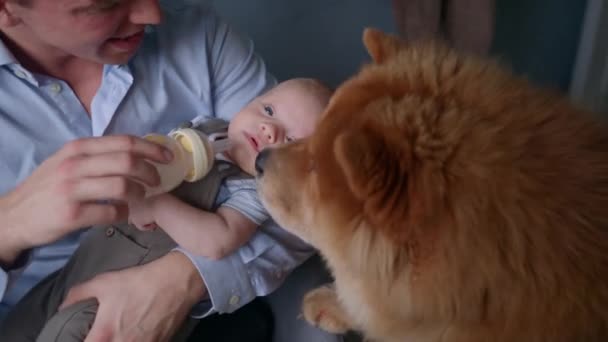 Ojciec Karmienie Chłopiec Pies — Wideo stockowe